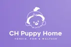 Buy Yorkie , Pomeranian Puppies For Sale, Maltese Breeders